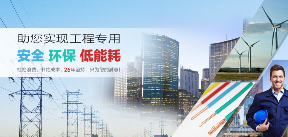 阻燃電線電纜 解決工程專用 安全 環(huán)保 低能耗